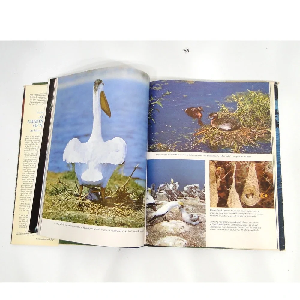 ReaderS Digest reader digest